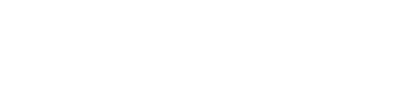 Logo Solution Énergie Belgique — spécialiste rénovation énergétique en Wallonie