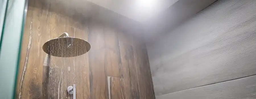 Pommeau de douche en acier inoxydable diffusant une eau chaude vaporisée dans une salle de bain moderne, illustrant un système de production d'eau chaude sanitaire performant en Belgique